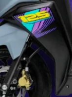 SIDE PANEL LEFT NTORQ